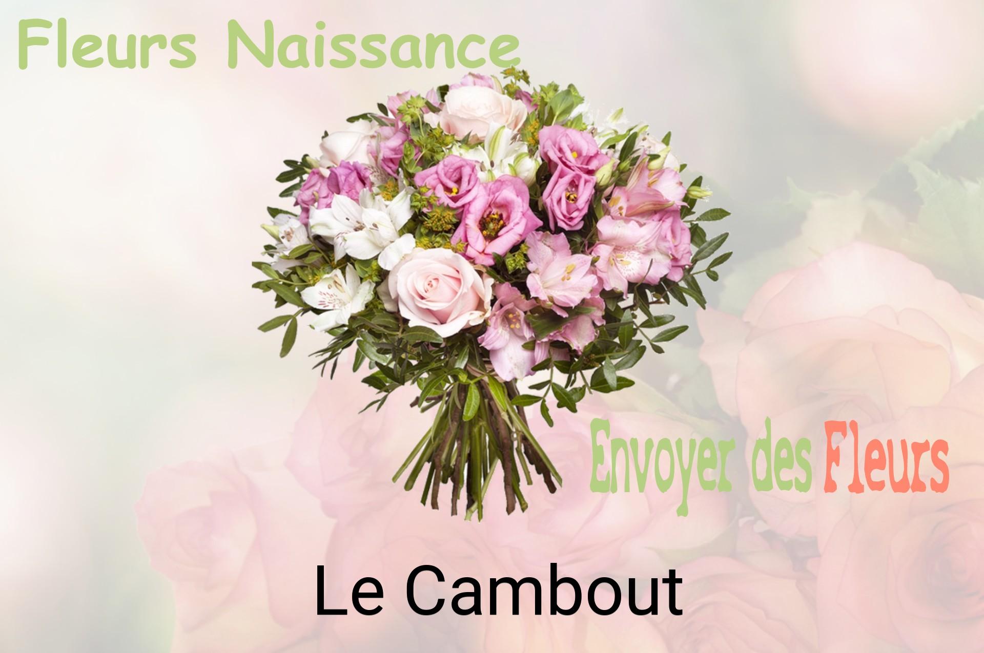 Bouquet de fleurs de naissance livré à Le Cambout