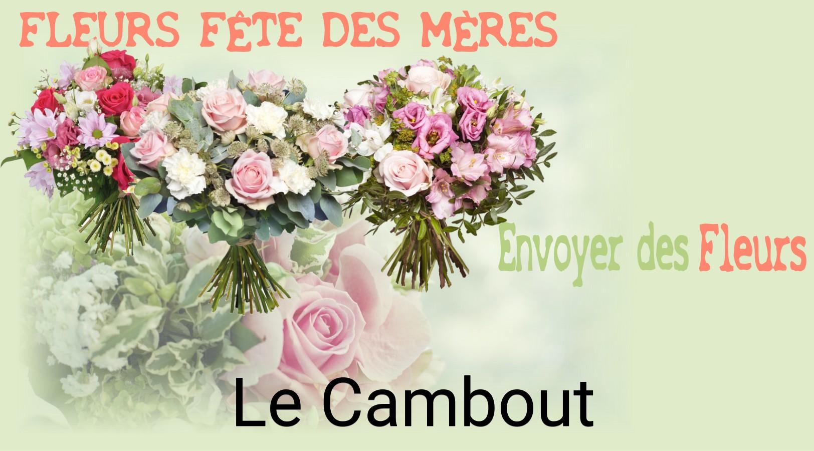Bouquet de Fête des Mères livré à Le Cambout